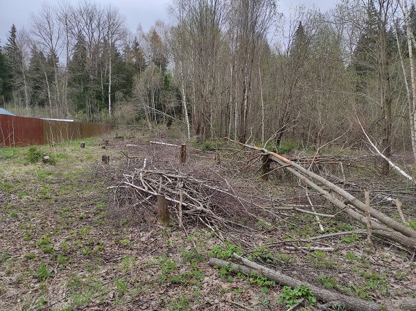 Срочная продажа земельных участков рядом с рекой в лесном массиве под строительство загородного дома на Новорижском направлении - недорого.